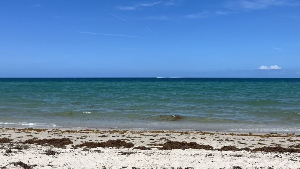 Cannabis After-Sun Care: A Fresh Take on Post-Sun Relief